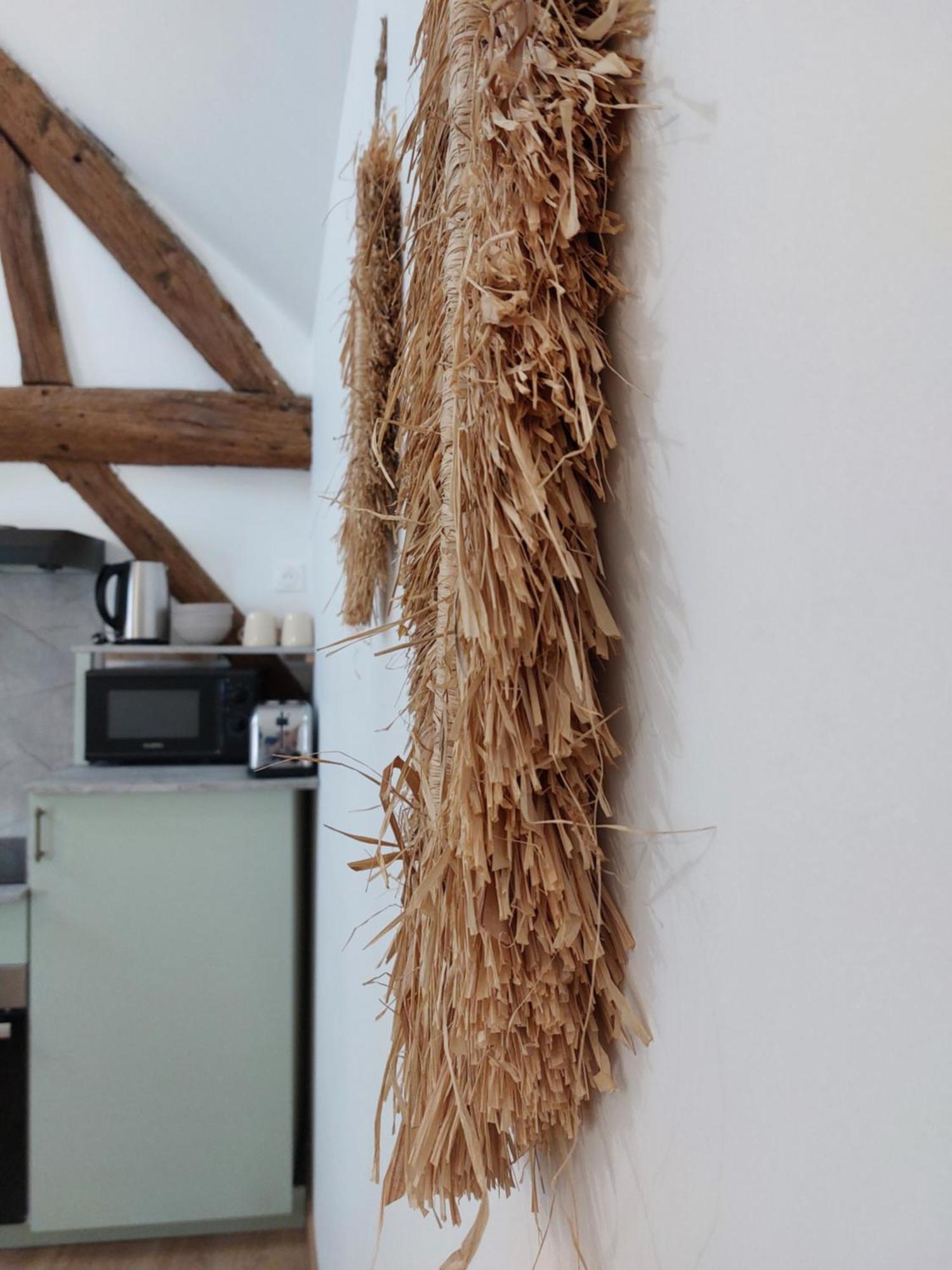 Appartements L'Hirondelle Beaugency Eksteriør billede