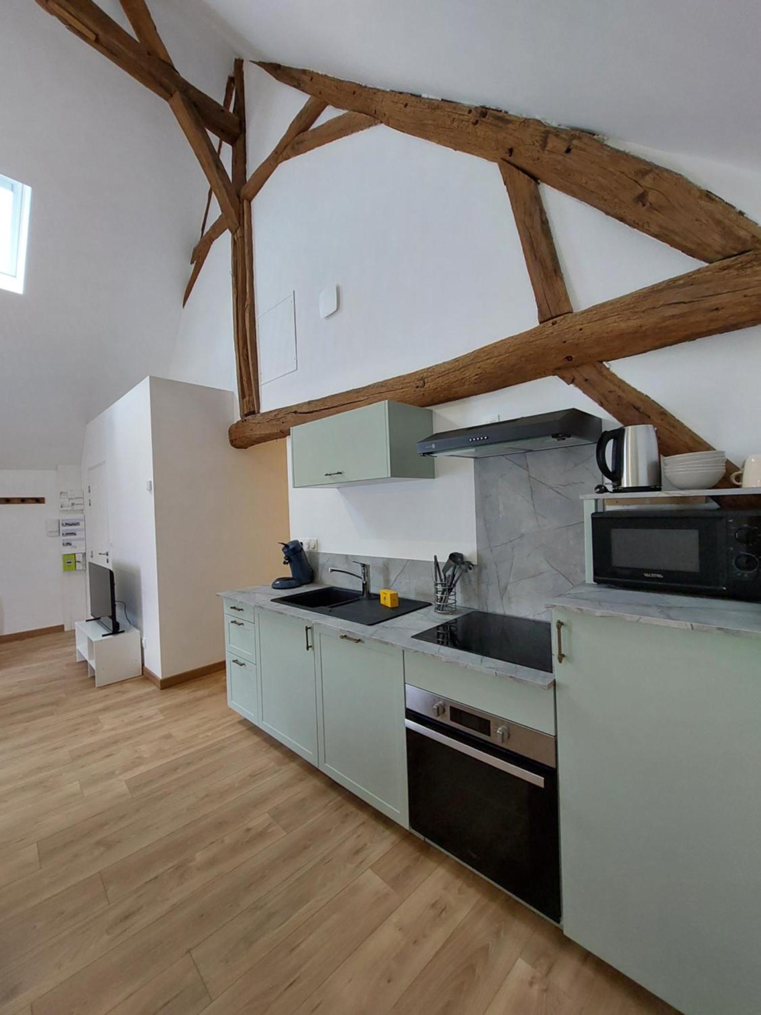 Appartements L'Hirondelle Beaugency Eksteriør billede