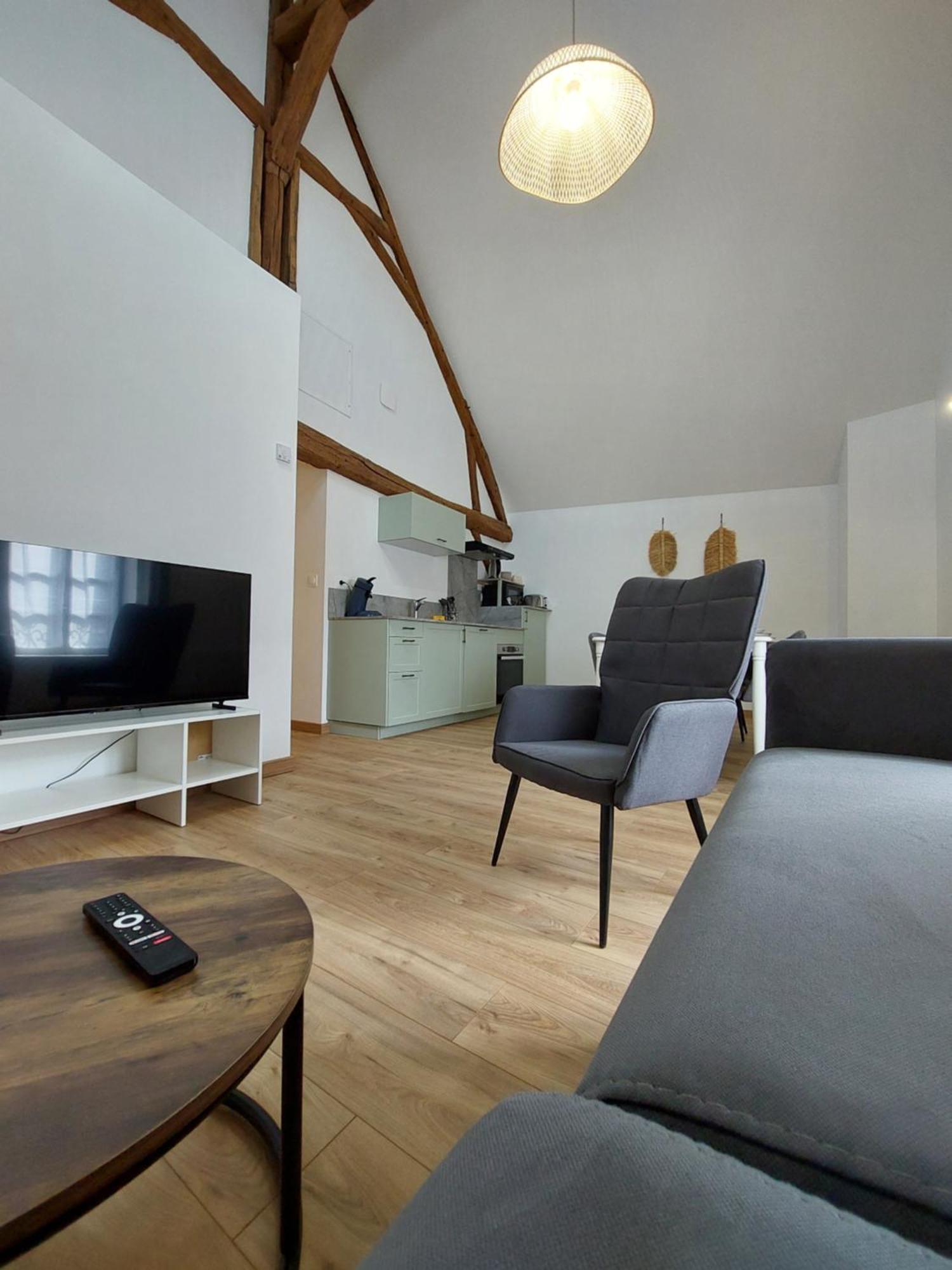 Appartements L'Hirondelle Beaugency Eksteriør billede